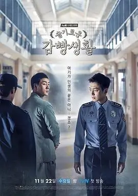 夜航西飞热播电视剧全集